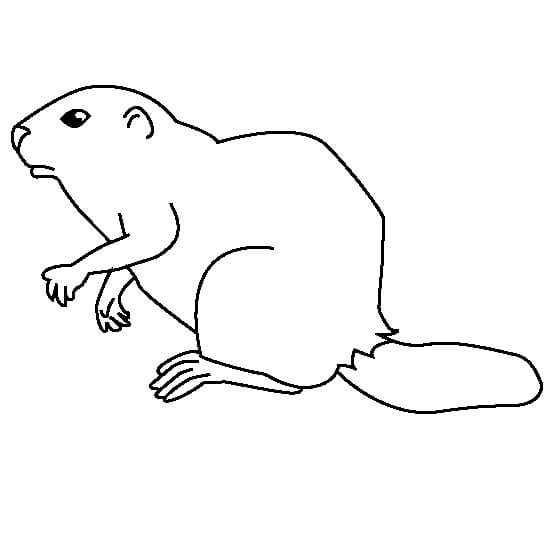 Dibujo de Bonito Castor para Colorear