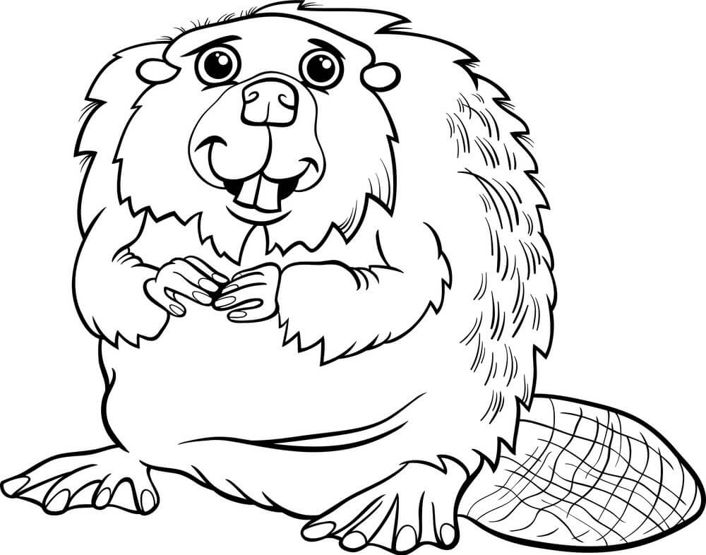 Dibujo de Castor Divertido para Colorear