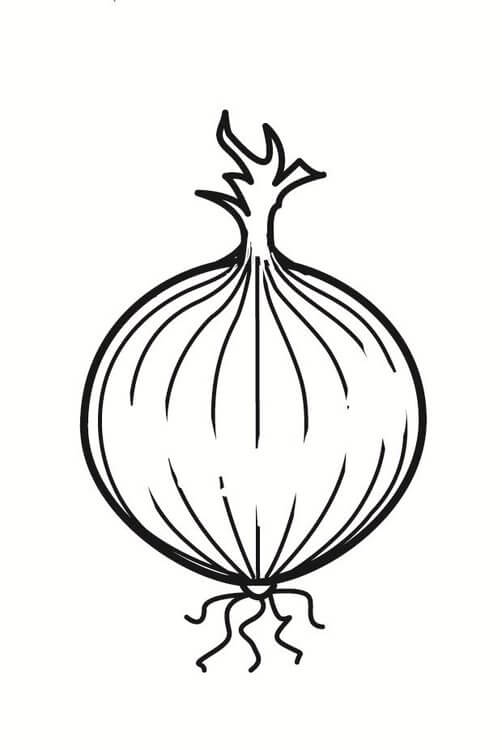 Dibujo de Bonito Cebolla para Colorear