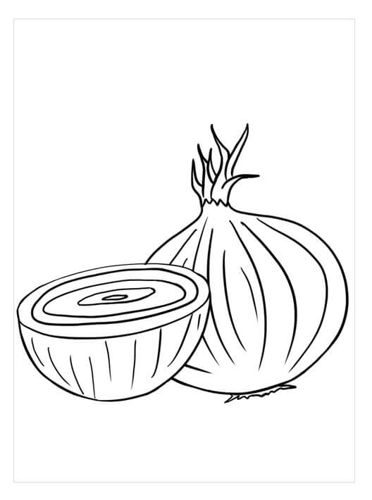 Dibujo de Bsico una Cebolla y Media Cebolla para Colorear