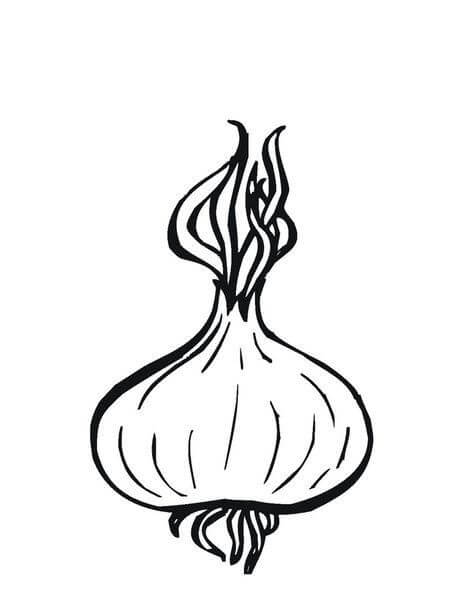 Dibujo de Cebolla Impresionante para Colorear