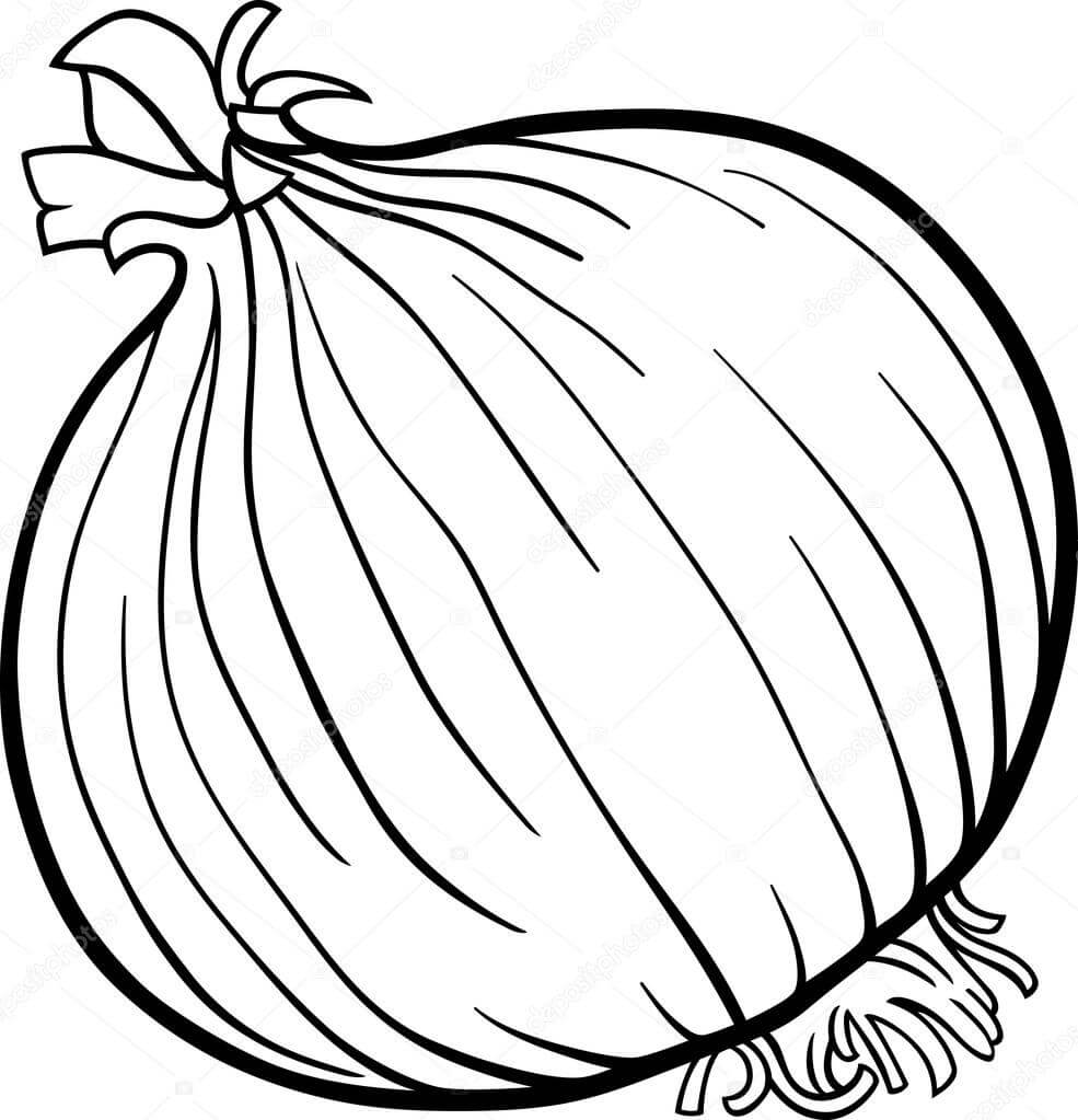 Dibujo de Cebolla Normal para Colorear