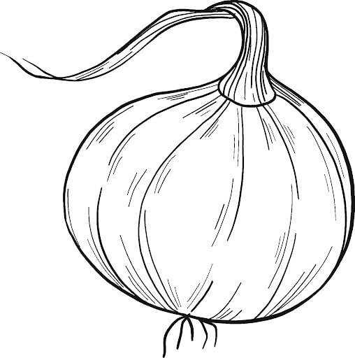 Dibujo de Cebolla Perfecta para Colorear