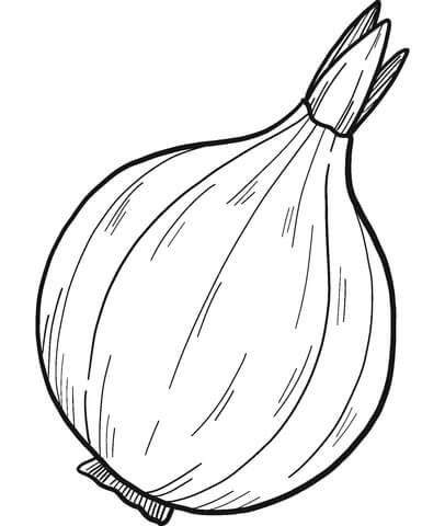 Dibujo de Cebolla Simple para Colorear