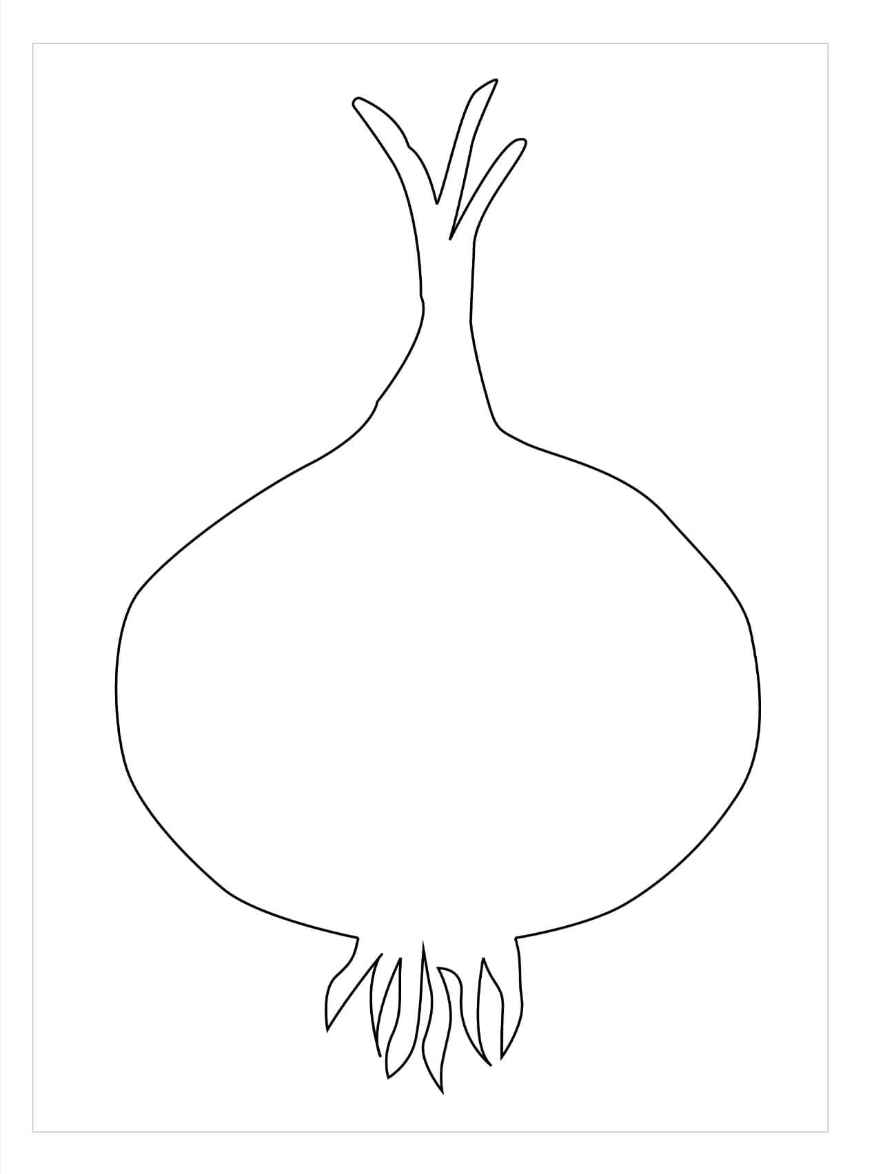 Dibujo de Contorno de Cebolla para Colorear