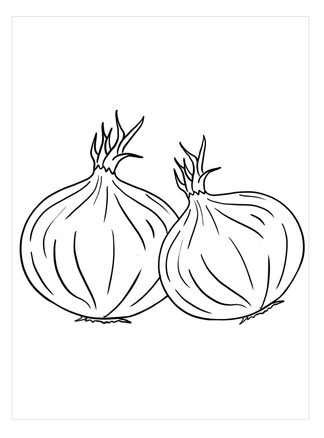 Dibujo de Dos Cebollas Bsicas para Colorear