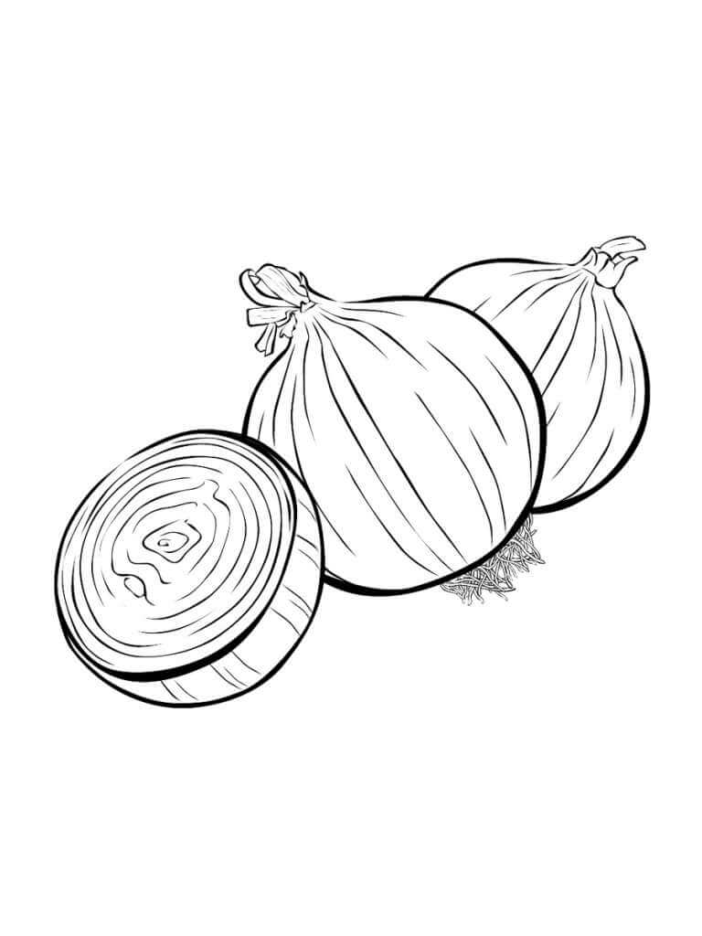 Dibujo de Dos Cebollas y Media Cebolla para Colorear