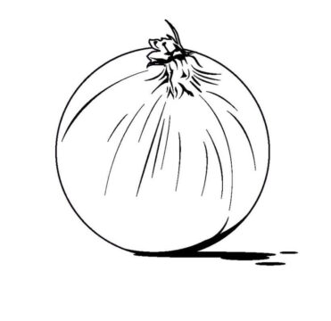 Dibujo de Gran Cebolla para Colorear