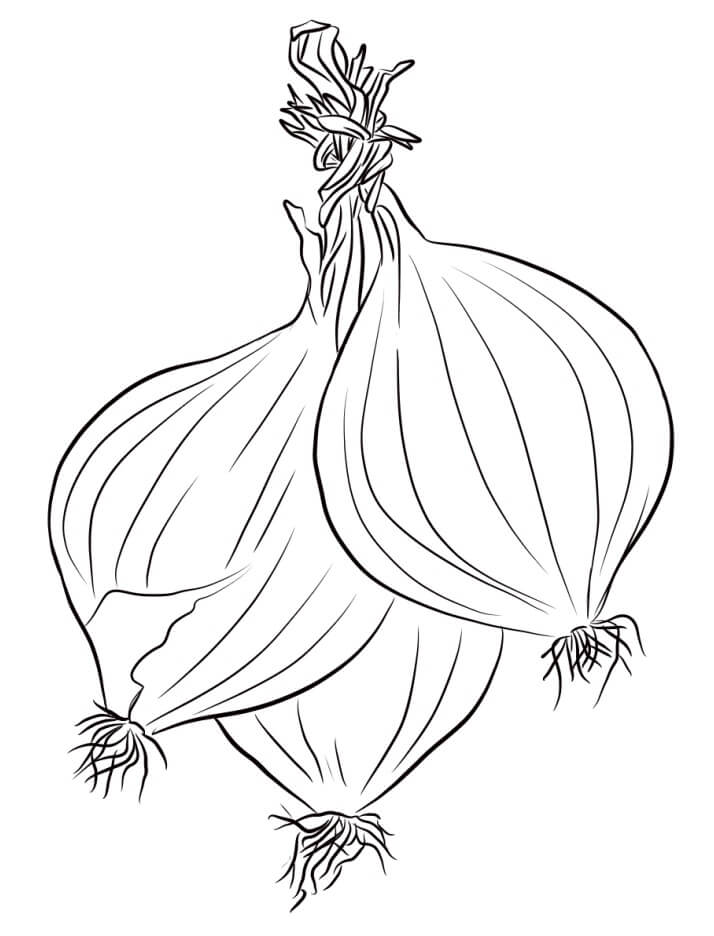 Dibujo de Tres Cebollas para Colorear