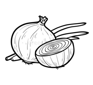 Dibujo de Una Cebolla y Media Cebolla para Colorear