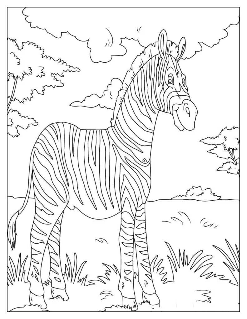 Dibujo de Bonita Cebra para Colorear