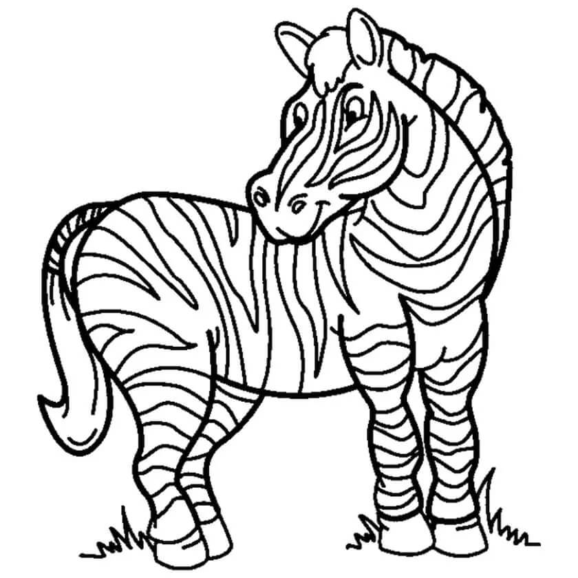 Dibujo de Cebra Imprimible para Colorear