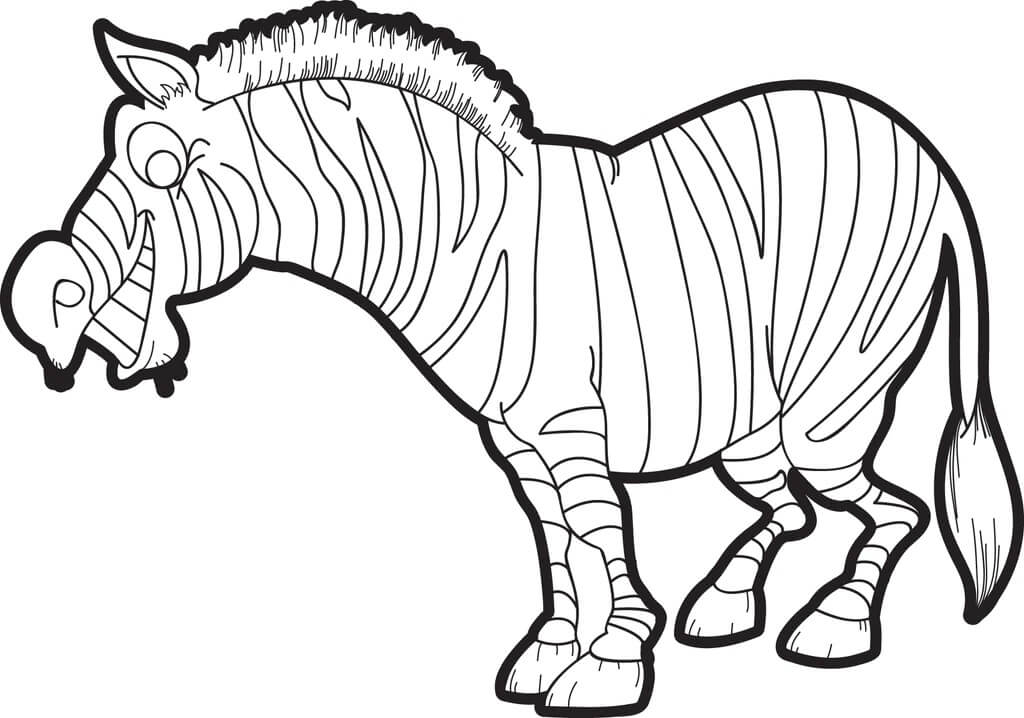 Dibujo de Cebra Libre para Colorear