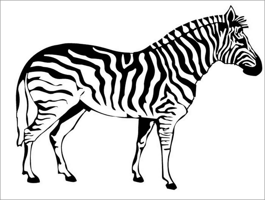 Dibujo de Cebra Realista para Colorear