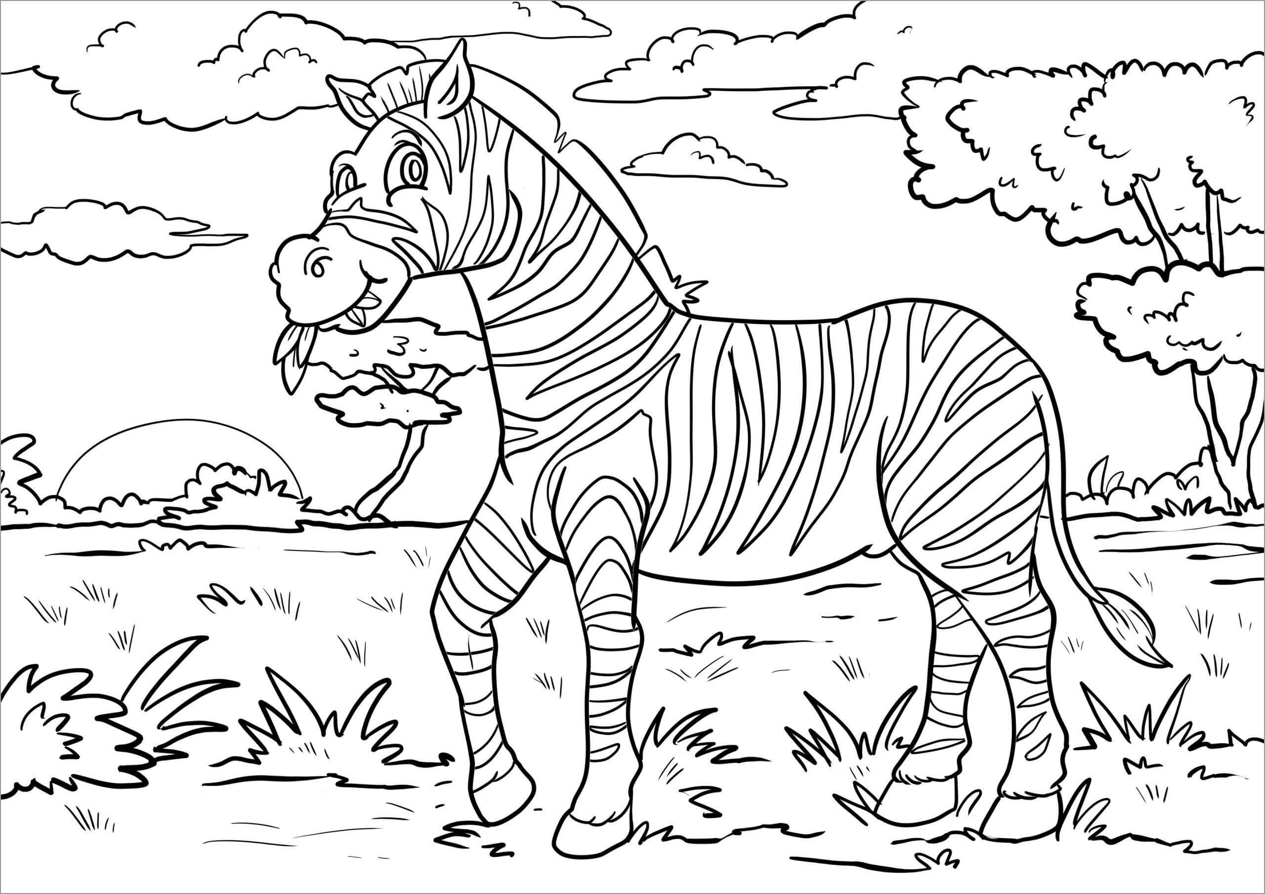 Dibujo de Cebra Comiendo Hierba para Colorear
