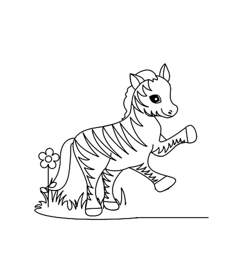 Dibujo de Cebra con Flor y Hierba para Colorear