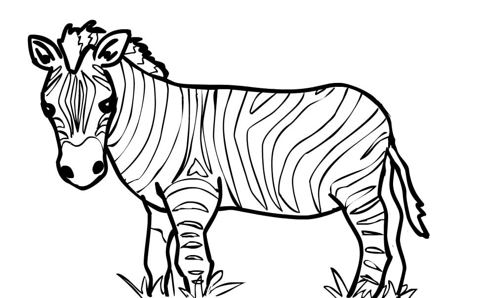 Dibujo de Cebra con Hierba para Colorear