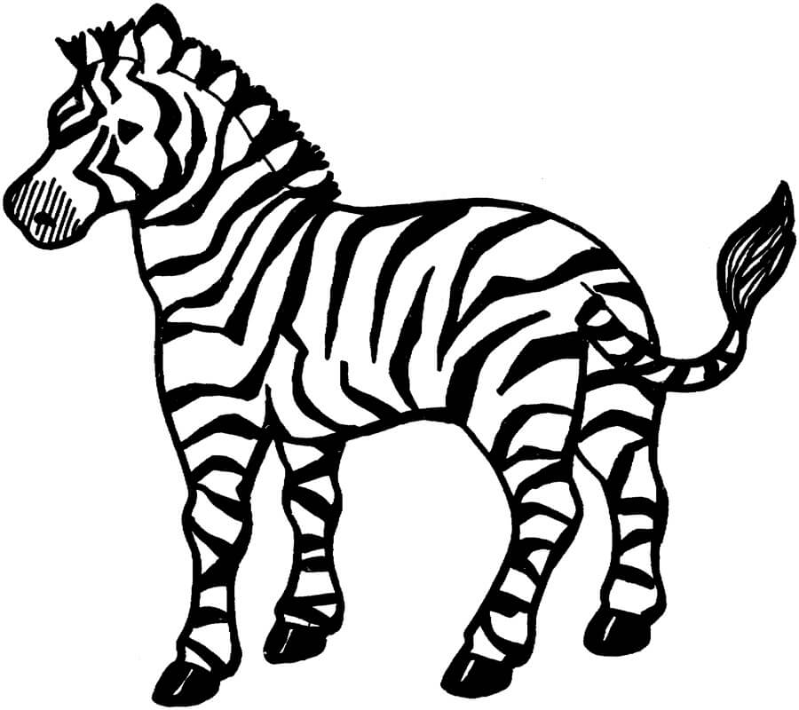 Dibujo de Cebra para Colorear