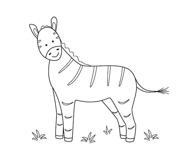 Dibujo de Estupida Cara de Cebra para Colorear