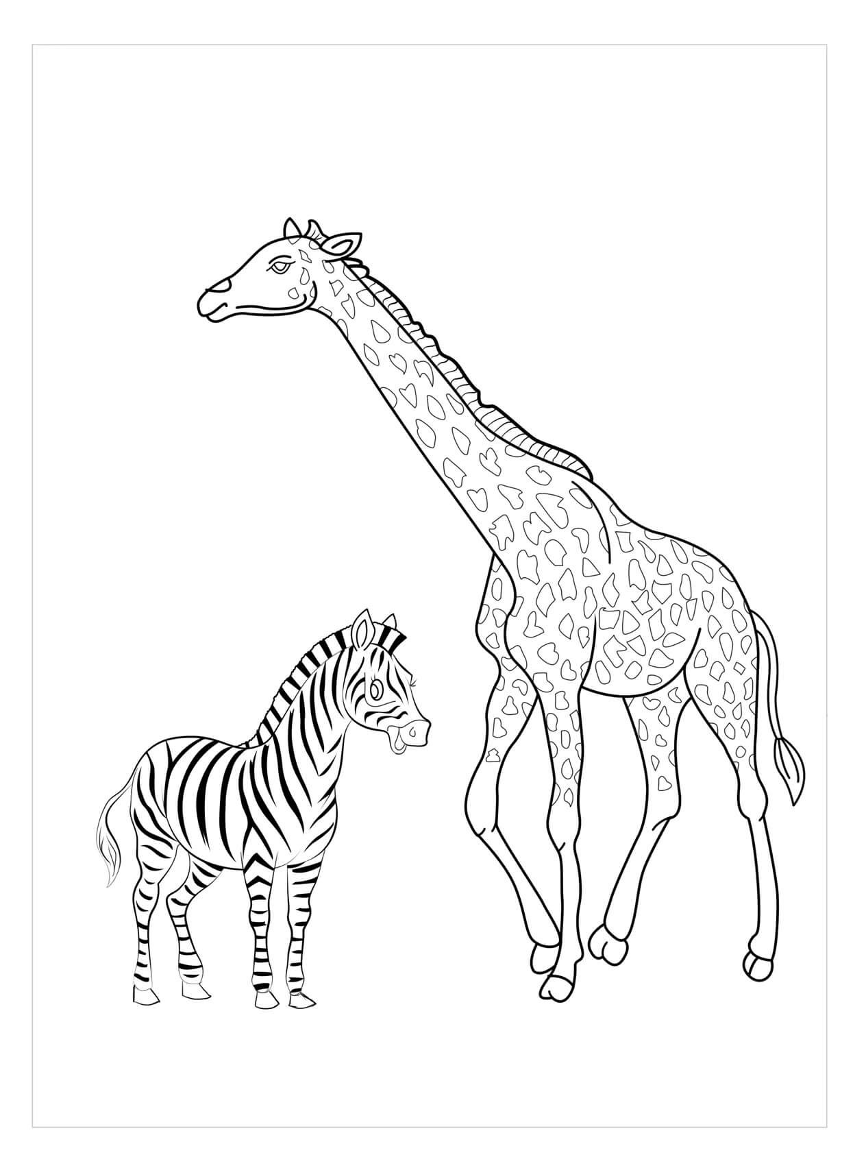 Dibujo de Jirafa y Cebra para Colorear