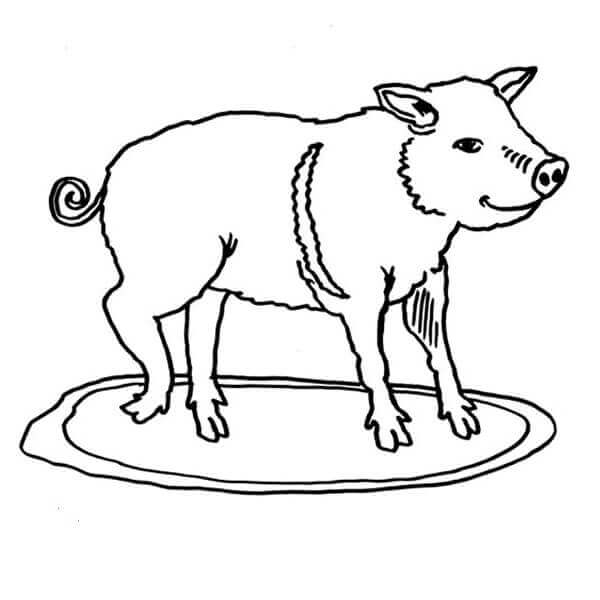 Dibujo de Cerdito Hambriento para Colorear