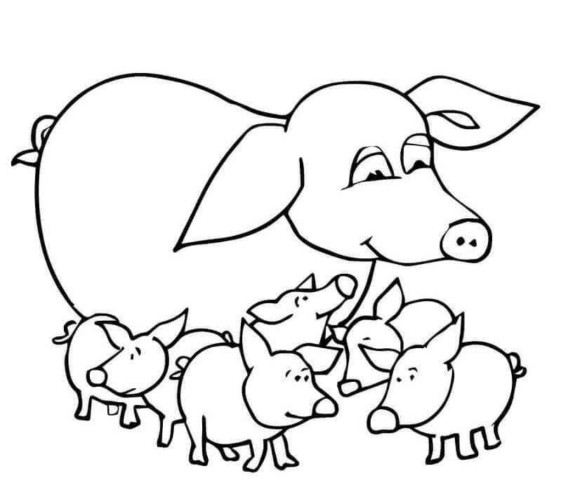 Dibujo de Cerditos y Madre para Colorear