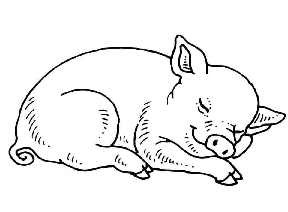 Dibujo de Cerdo Beb Durmiendo para Colorear