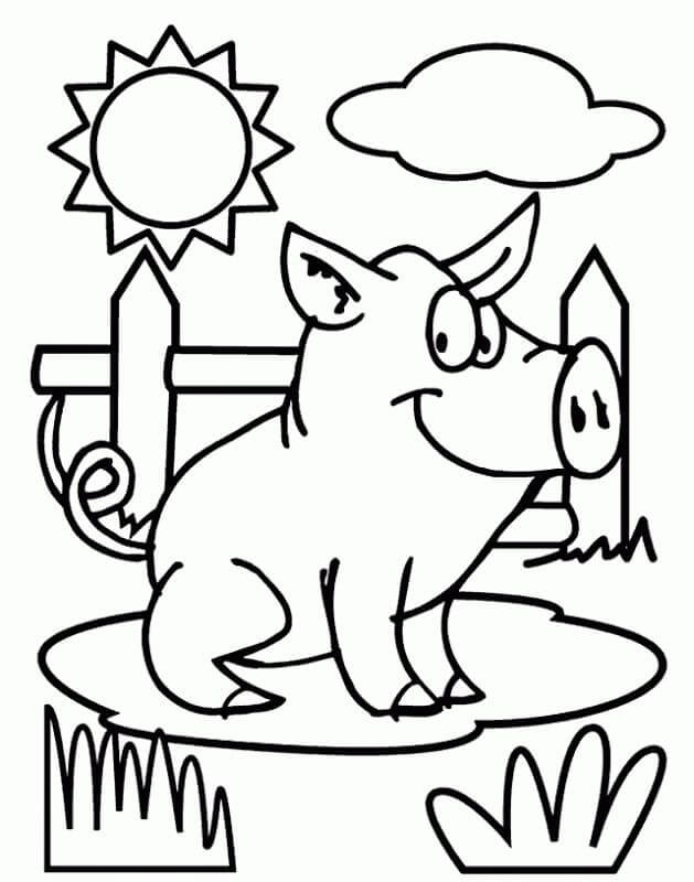 Dibujo de Cerdo Feliz para Colorear