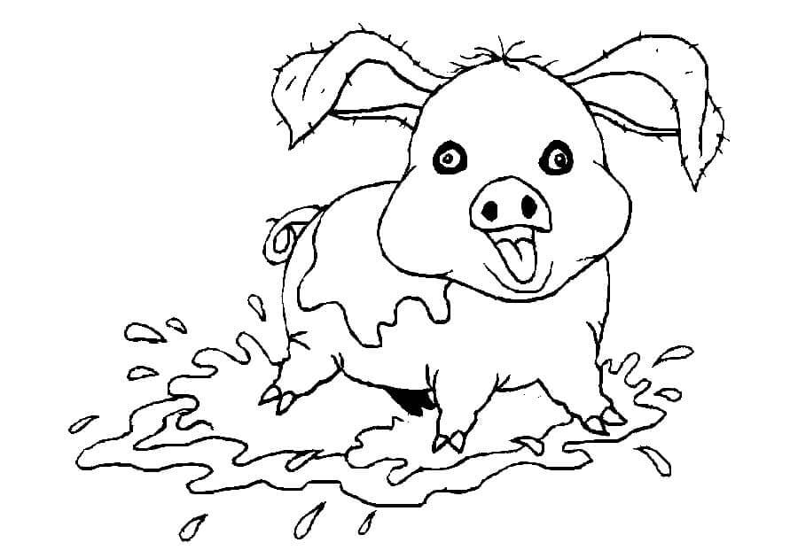 Dibujo de Cerdo Loco para Colorear