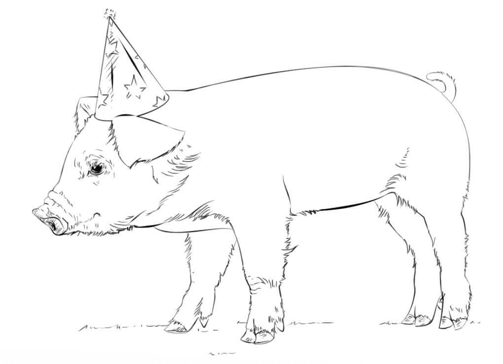 Dibujo de Cerdo con Gorro de Fiesta para Colorear