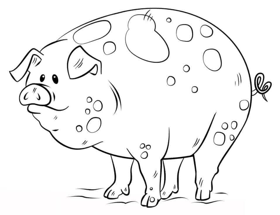 Dibujo de Cerdo de Dibujos Animados para Colorear