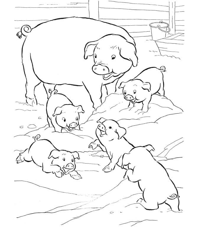 Dibujo de Cerdos Familiares para Colorear