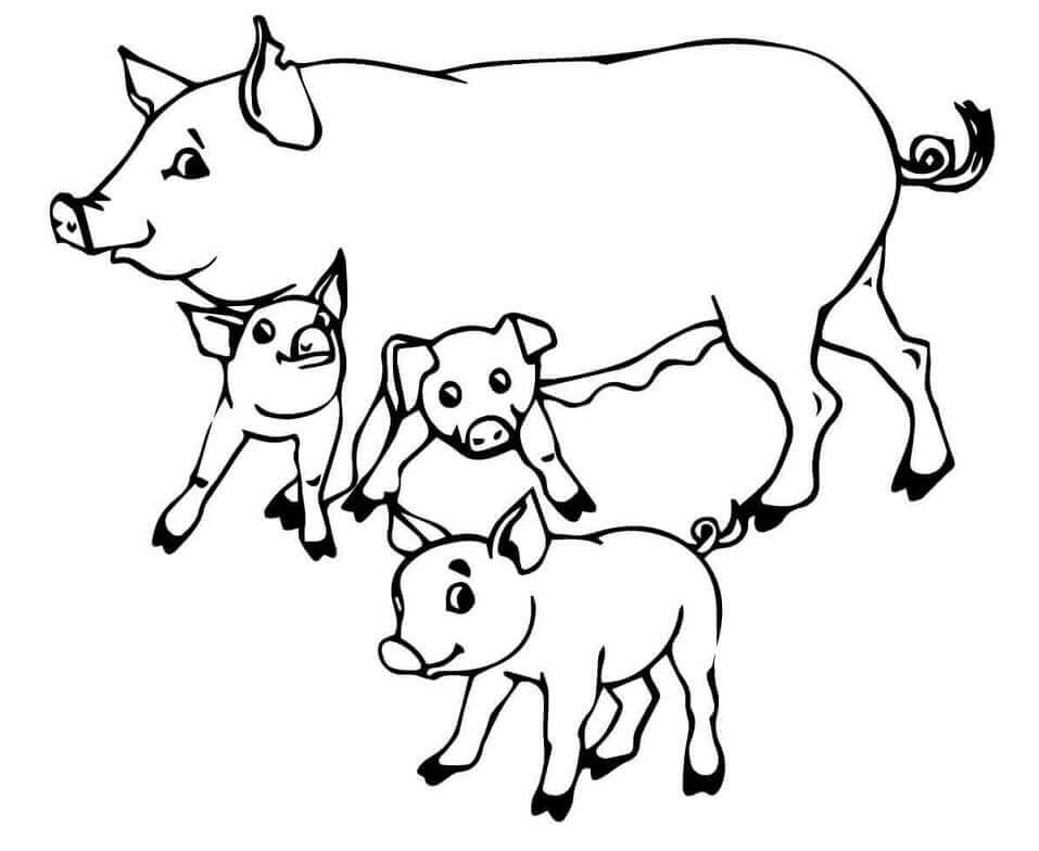 Dibujo de Cerdos Madre y Lechones para Colorear