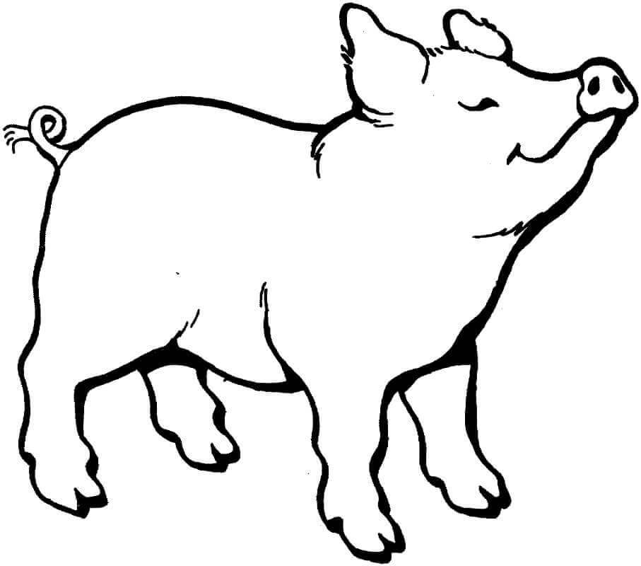 Dibujo de El Cerdo Huele Algo para Colorear