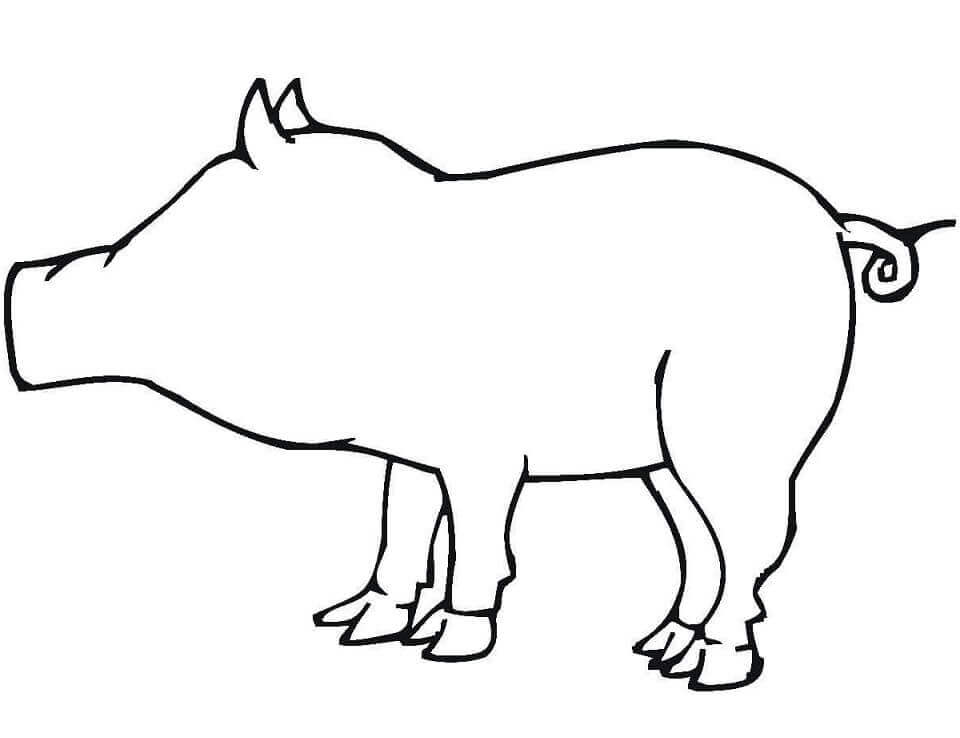 Dibujo de Esquema de Cerdo para Colorear