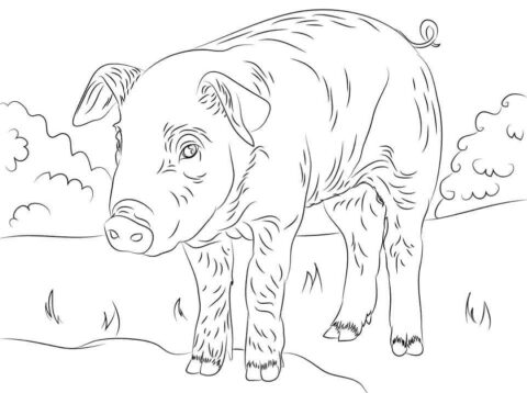 Dibujo de Lindo Lechn para Colorear