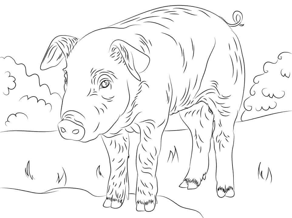 Dibujo de Lindo Lechn para Colorear