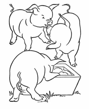 Dibujo de Tres Cerdos para Colorear