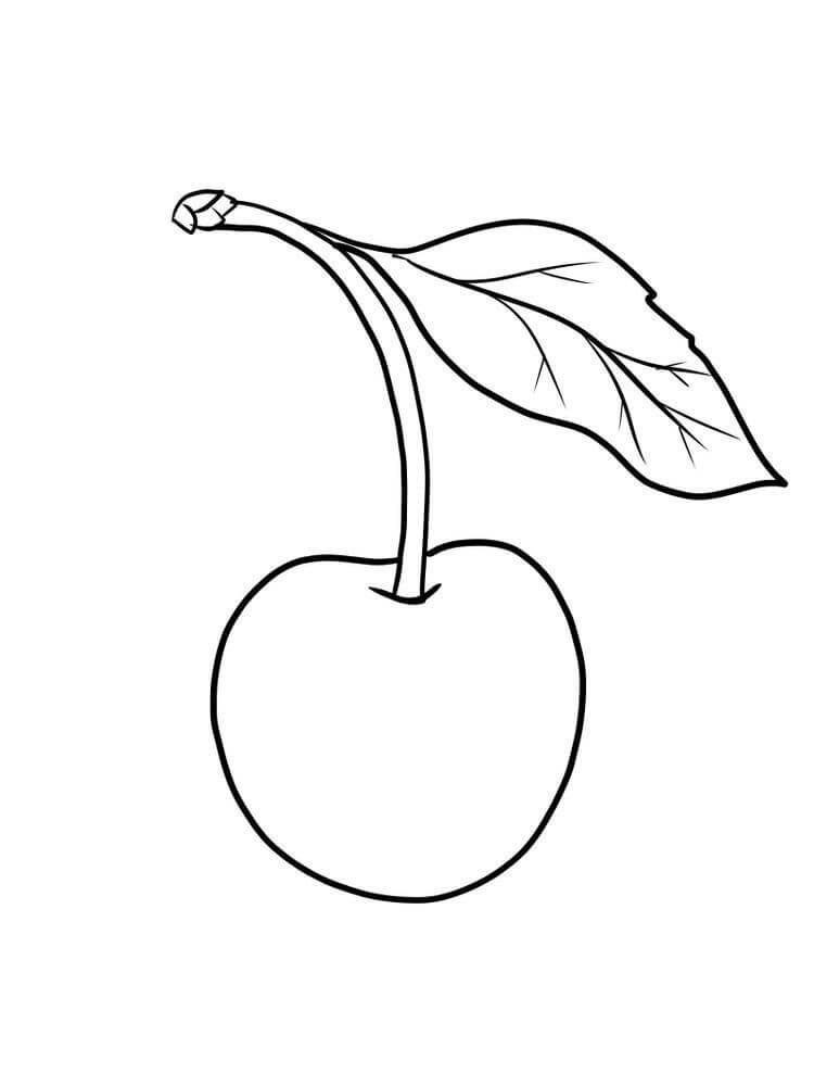 Dibujo de Cereza Bsica para Colorear