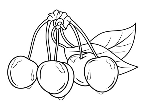 Dibujo de Cerezas con Hojas para Colorear