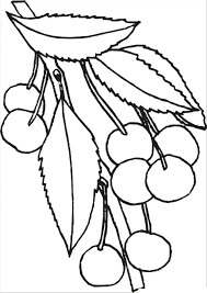 Dibujo de Cherrys en Rama de Rbol para Colorear
