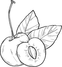 Dibujo de Cereza para Colorear