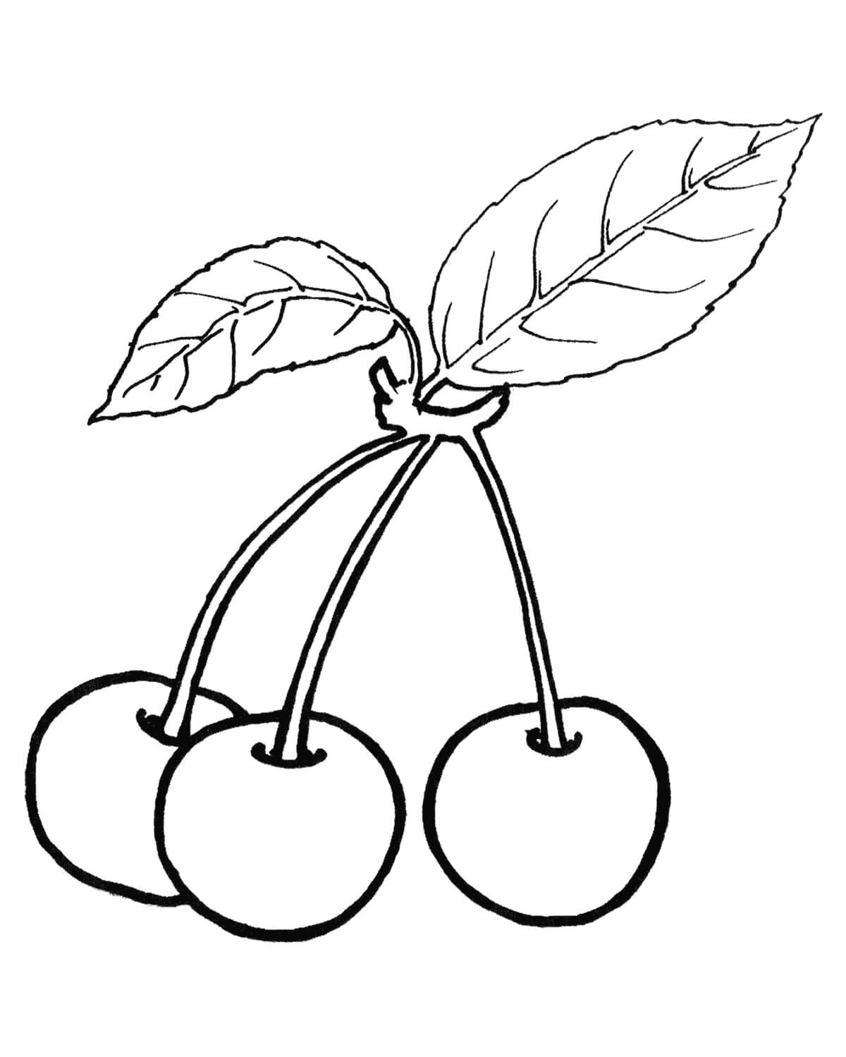 Dibujo de Tres Cerezas con Hoja para Colorear