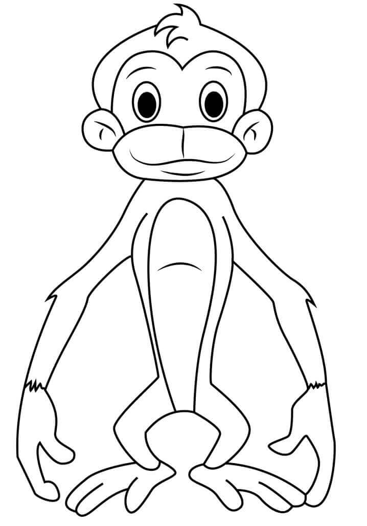 Dibujo de Jaggu Bandar de Chhota Bheem para Colorear