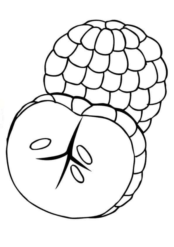 Dibujo de Chirimoya Bsica y Media Chirimoya para Colorear