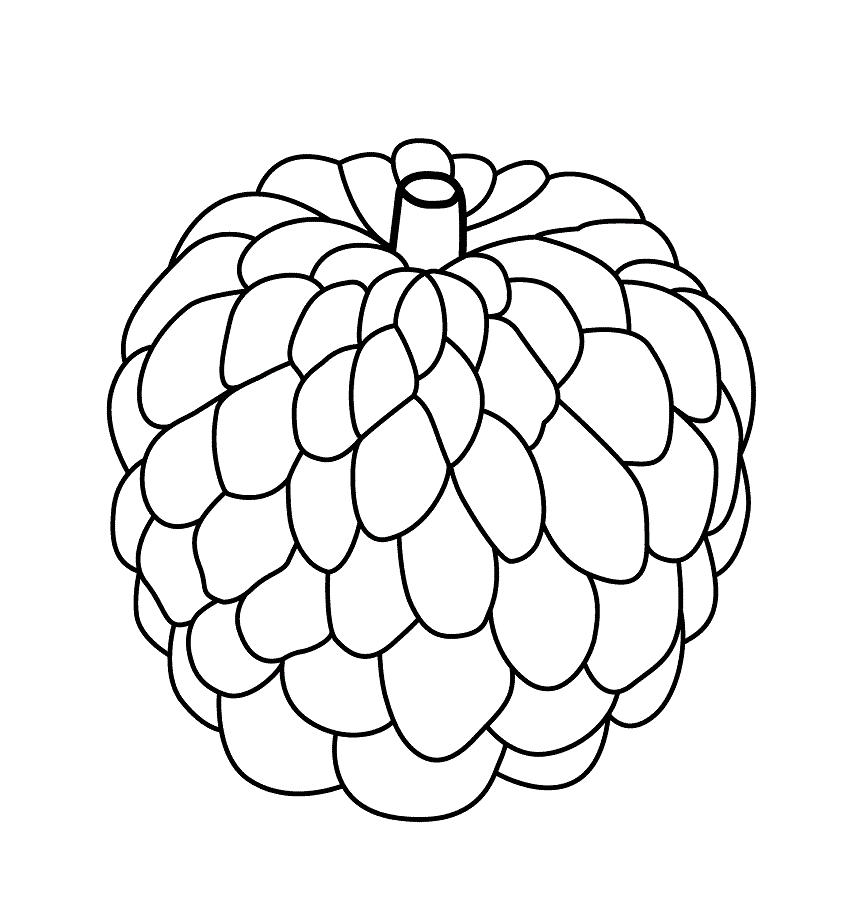 Dibujo de Chirimoya Bsica para Colorear