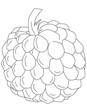 Dibujo de Chirimoya Impresionante para Colorear