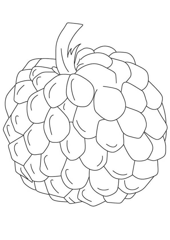 Dibujo de Chirimoya Simple para Colorear