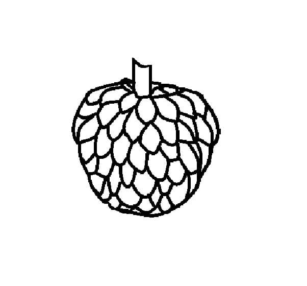 Dibujo de Chirimoya para Colorear