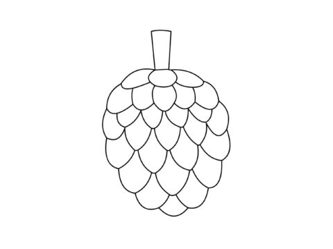 Dibujo de Gran Chirimoya Scaled para Colorear
